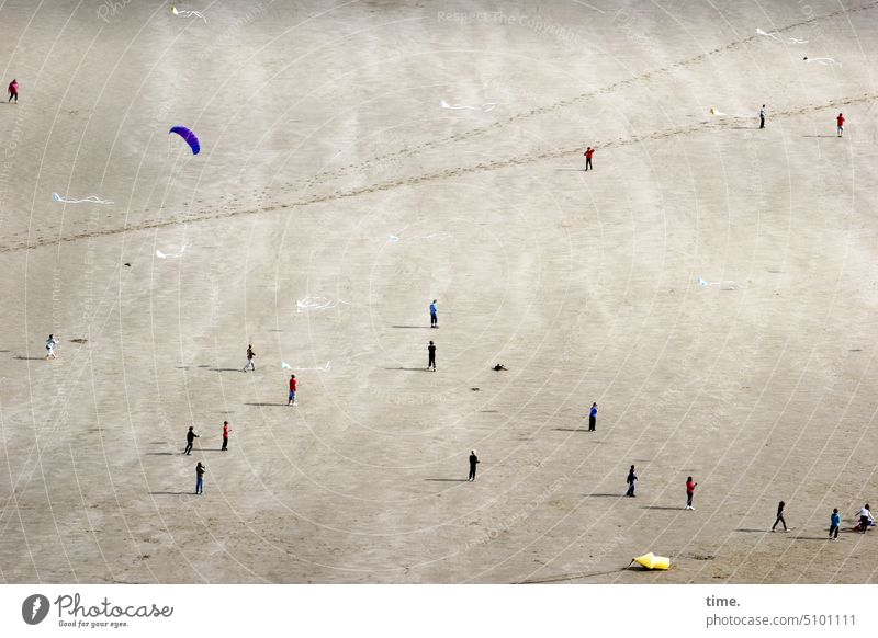 Bodenpiloten mit Lenkdrachen Strand Sand Drachen Drachenschnur stehen Wettbewerb Freizeit Spaß Erholung Vogelperspektive Ferien & Urlaub & Reisen