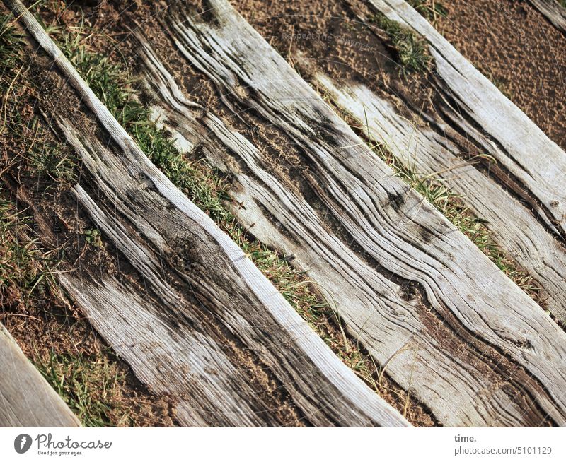 Holz und Salzwind | Lebenslinien Holztreppe treppenstufen verwittert Holzbalken Wandel & Veränderung Vergänglichkeit Pflanzen Maserung sand diagonal abgetreten