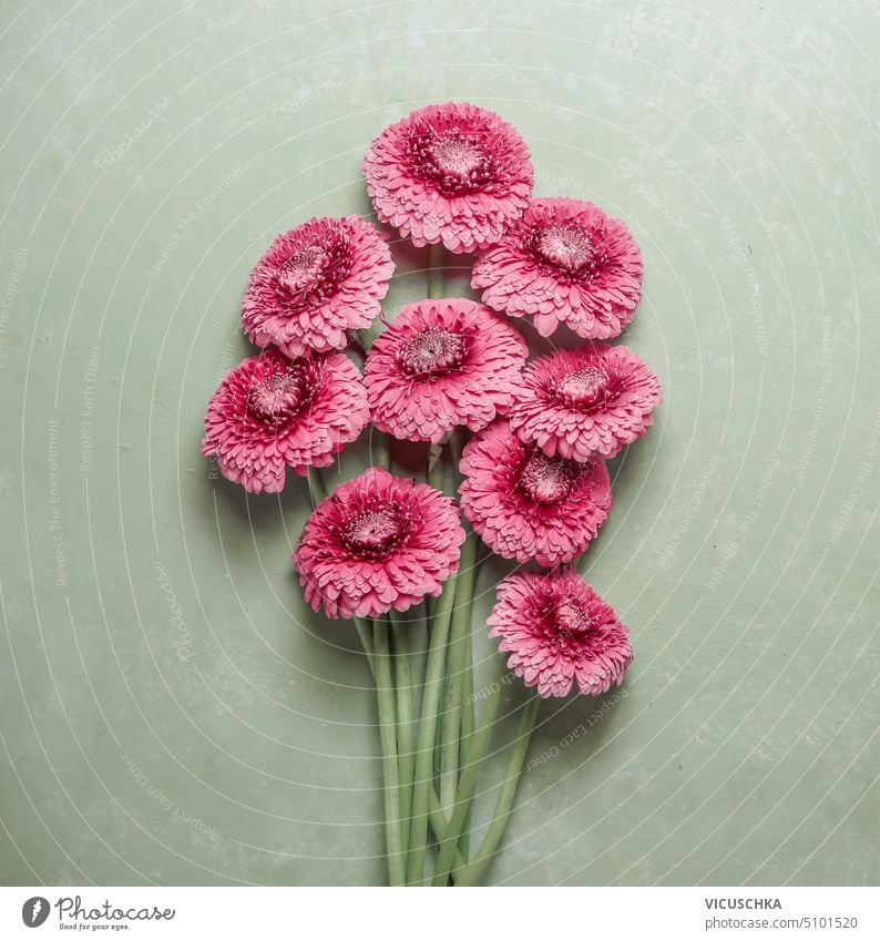 Strauß rosa Blumen auf grünem Hintergrund, Ansicht von oben Haufen Draufsicht Schönheit Muttertag Ordnung Geburtstag minimalistisch Überstrahlung Eleganz