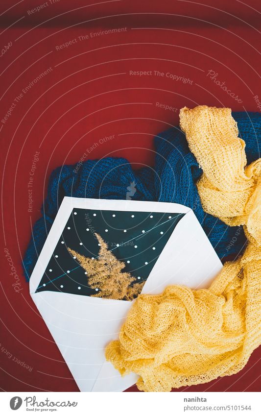 Hintergrund in Herbstfarben mit einem Umschlag mit einem getrockneten Farn im Inneren Farbe Kuvert abstrakt Wurmfarn Foulard Zubehör Mode romantisch Nachricht