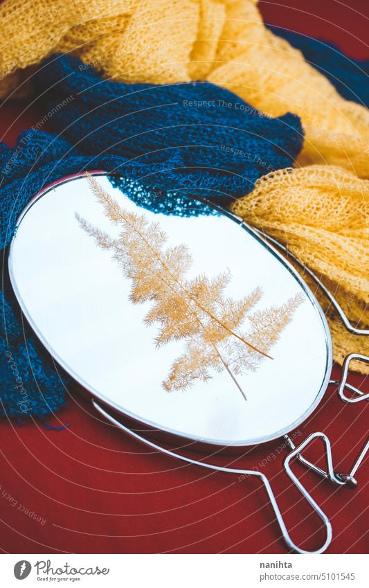 Hintergrund aus Stoffzubehör und ein getrockneter Farn über einem Spiegel Foulard Wurmfarn Textil Gewebe Herbst fallen Farben farbenfroh rot gelb blau
