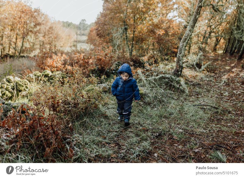 Niedlicher Junge beim Spaziergang im Wald Kind 1-3 Jahre laufen warm Bekleidung erkunden eine Person Kaukasier Tag authentisch niedlich Mensch Farbfoto Freude