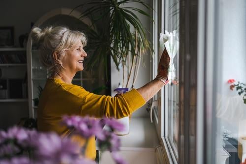 Reife Frau putzt Fenster in ihrem Haus Lächeln Glück genießend positiv Freude Menschen Senior reif älter heimwärts alt Alterung häusliches Leben Großmutter