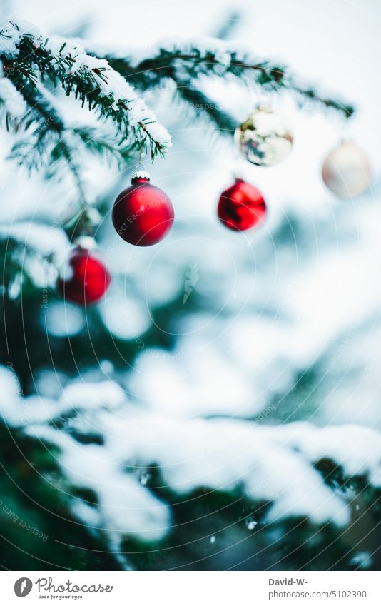 Weihnachten - bunte Christbaumkugeln hängen an einem Weihnachtsbaum im Winter Weihnachten & Advent Schnee verschneit Tannenzweig Baumschmuck Tannenbaum