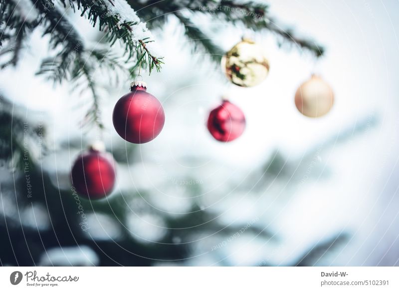 Christbaumkugeln an einer Tanne im Winter Weihnachten & Advent Tannenbaum Schnee verschneit weihnachtlich Weihnachtsdekoration festlich Dekoration & Verzierung