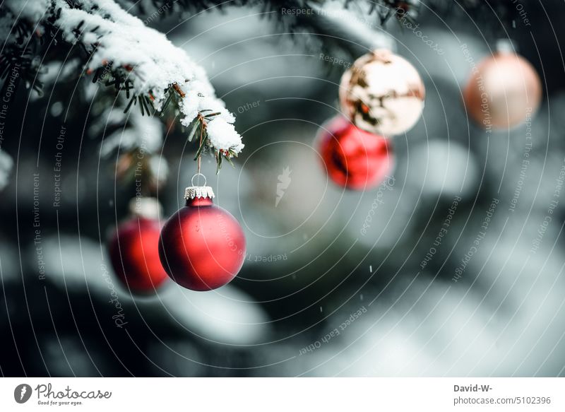 Weihnachtsmotiv für eine Weihnachtskarte - Christbaumkugeln hängen bei im Winterwald an einem Tannenbaum Weihnachten & Advent Weihnachtsbaum weihnachtlich