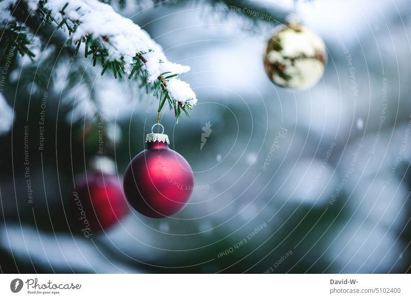 Christbaumkugeln im Winter an einem Tannenbaum Weihnachten Schnee Weihnachtsdekoration weihnachtlich Weihnachtskarte festlich Dekoration & Verzierung