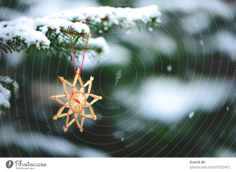 Weihnachtsdekoration - Strohstern an einer mit Schnee bedeckten Tanne im Winter Weihnachten Stern Tannenbaum Weihnachtsbaum Schneefall Schneeflocken