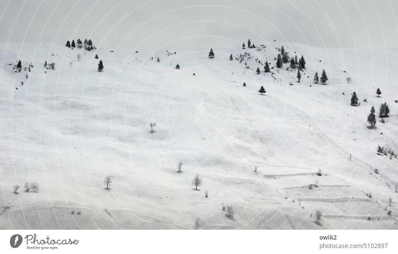 Kühle Tage in Rumänien Hang Schnee Berge u. Gebirge Karpaten Osteuropa Fläche Schneefeld Natur Landschaft Außenaufnahme Umwelt Menschenleer Farbfoto