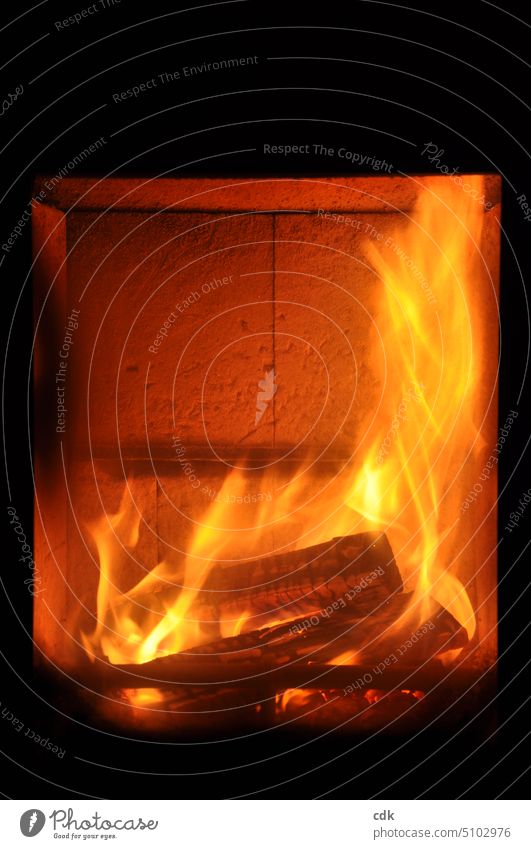 Mit Holz heizen | die wohlige Wärme des Feuers genießen. Ofen Bollerofen mit Holz heizen Winter einheizen natürlich brennen Flamme heiß Licht Feuerstelle glühen
