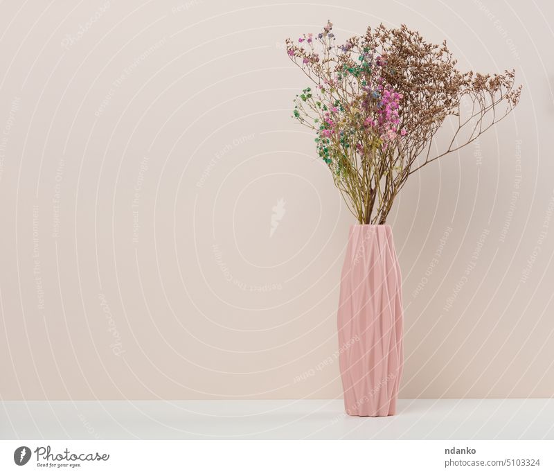 Rosa Keramikvase mit Trockenblumen auf einem weißen Tisch trocknen Blume heimwärts im Innenbereich sehr wenige Minimalismus Natur keine Menschen rosa Pflanze