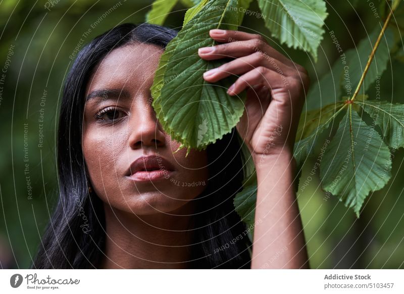 Schwarze Frau bedeckt Auge mit grünem Blatt Auge abdecken Park Sommer Baum berühren Ast Porträt jung schwarz ethnisch Schwarzes Haar Flora Laubwerk Saison