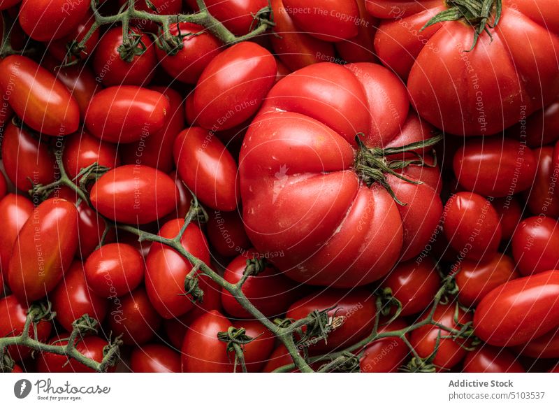 Reife rote Tomaten Ast Oval groß klein Karton Kasten roh Hintergrund frisch Gemüse gesunde Ernährung Vegetarier viele lecker Lebensmittel appetitlich ungekocht