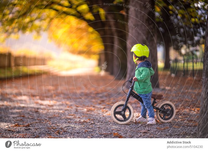 Kleiner Junge fährt Fahrrad im Park Mitfahrgelegenheit Herbst Laufrad Balance-Bike Glück Laubwerk Weg Natur tagsüber Sport Kind Kindheit Straße farbenfroh