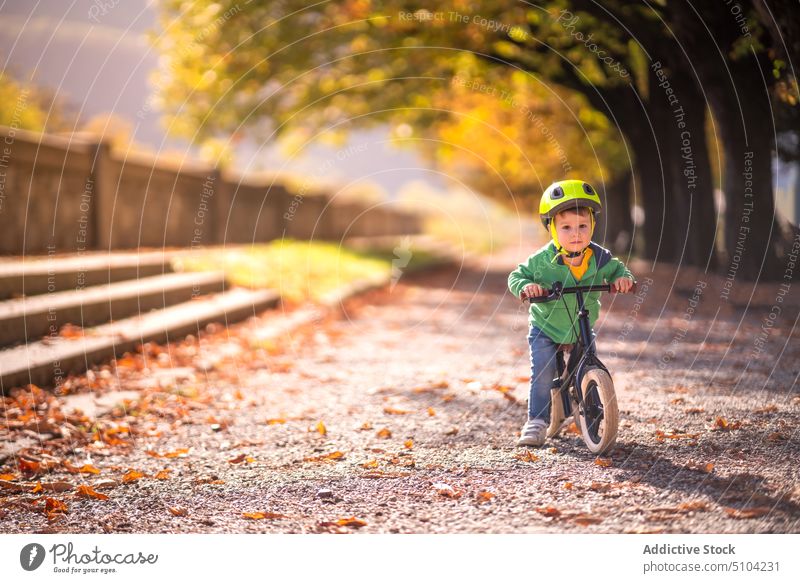 Kleiner Junge fährt Fahrrad im Park Mitfahrgelegenheit Herbst Laufrad Balance-Bike Glück Laubwerk Weg Natur tagsüber Sport Kind Kindheit Straße farbenfroh