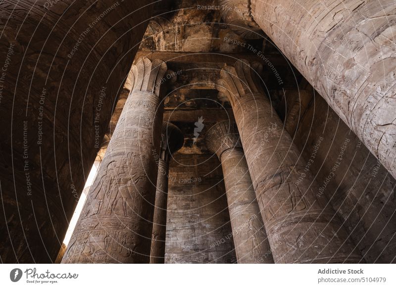 Antike Säulen und Deckenverzierungen in einem alten Tempel Spalte Architektur Erbe Zimmerdecke historisch Kultur Wahrzeichen Erleichterung Ornament Sightseeing