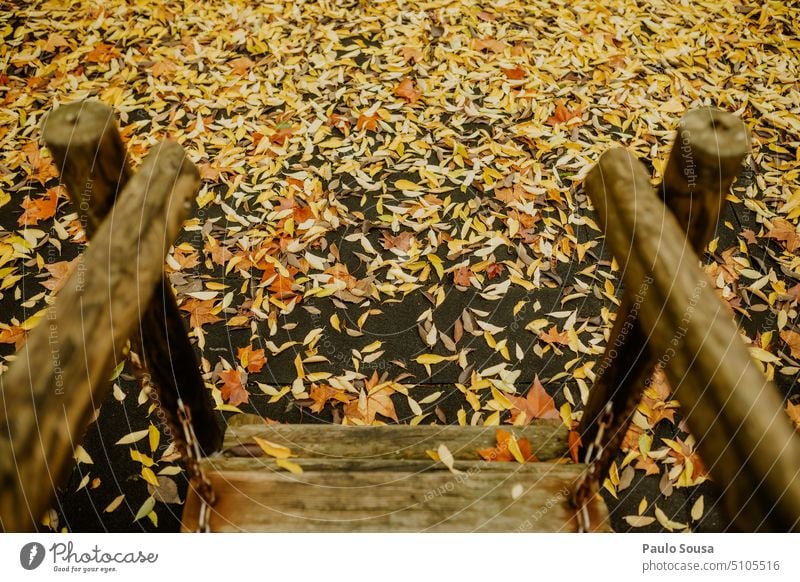 Verwitterte Treppe mit Herbstlaub gelb herbstlich Herbstfärbung fallen Herbstwetter Vergänglichkeit Jahreszeiten Herbststimmung Herbstbeginn Natur Laubwerk