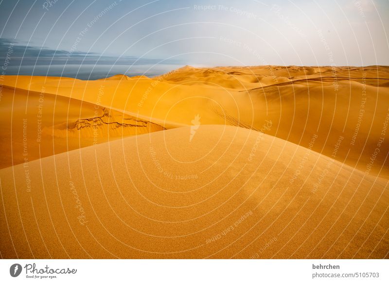 sandmeer Namibia Afrika Wüste Sand Meer Ozean weite Ferne Fernweh Sehnsucht reisen Landschaft Ferien & Urlaub & Reisen Einsamkeit Abenteuer Himmel Wärme