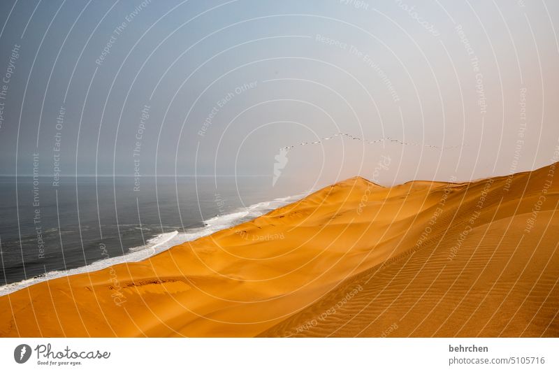 wunderwelt weite Menschenleer fantastisch Dünen Außenaufnahme träumen Afrika Namibia Wüste sandwich harbour besonders Sand Meer Ferne Fernweh reisen Sehnsucht