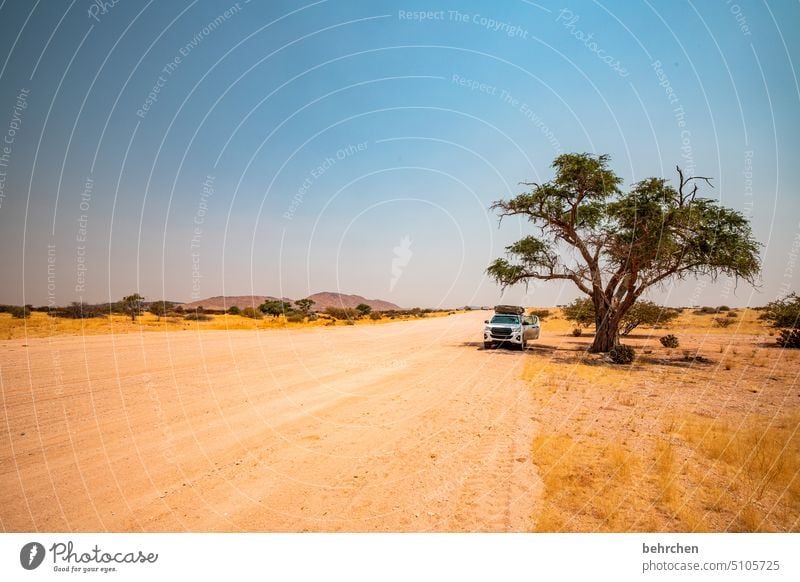 auf pad again dachzelt jeep Auto Autofahren Schotterweg Schotterpiste Namibia Abenteuer Farbfoto reisen Freiheit Natur Fernweh Ferne weite Afrika fantastisch