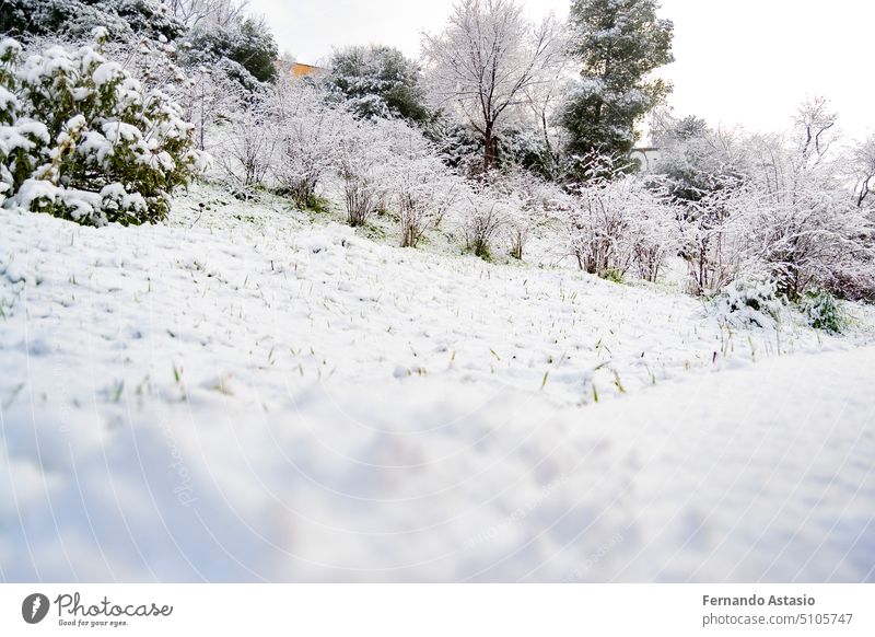 Schneedecke Auf Einem Auto. Weiße Schneeflocken. Kaltes Wetter. Schnee Auf  Einer Autonahaufnahme Lizenzfreie Fotos, Bilder und Stock Fotografie. Image  134976293.
