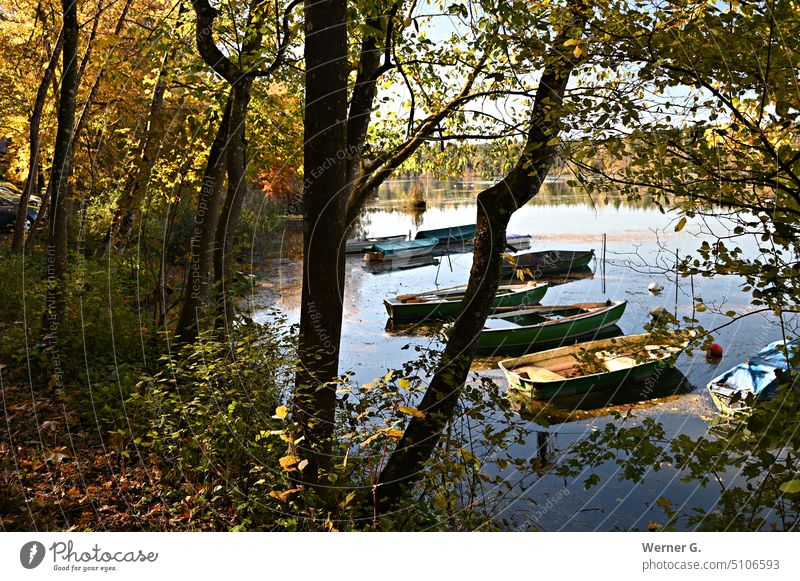 Ruderboote am Seeufer Natur Außenaufnahme Boote ruhig Wasser Ruhe Landschaft Idylle Wasserspiegelung Schönes Wetter Wasseroberfläche Erholung Bäume