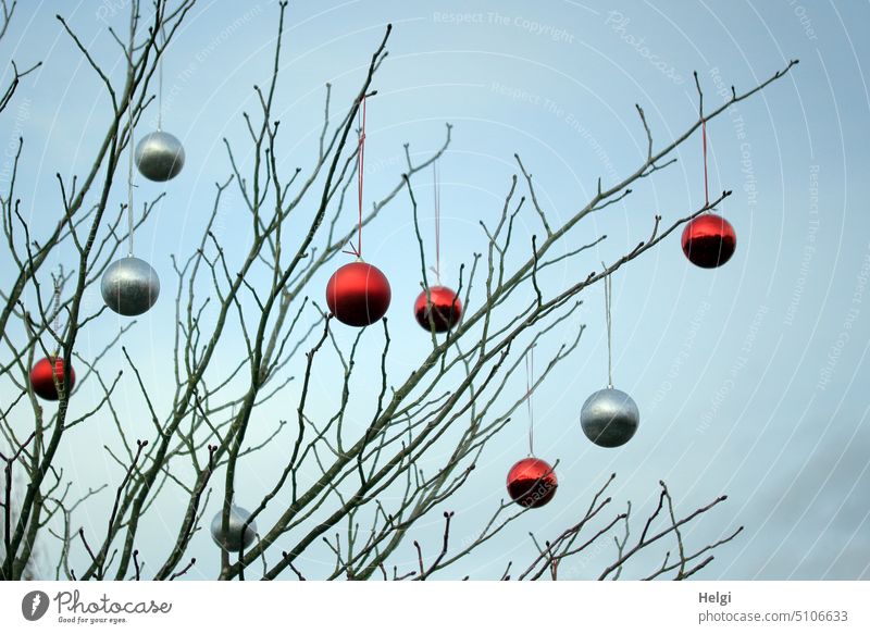 rote und silberfarbige Weihnachtskugeln hängen an kahlen Zweigen vor blaugrauem Himmel Weihnachtsschmuck Weihnachtsdekoration Weihnachten & Advent