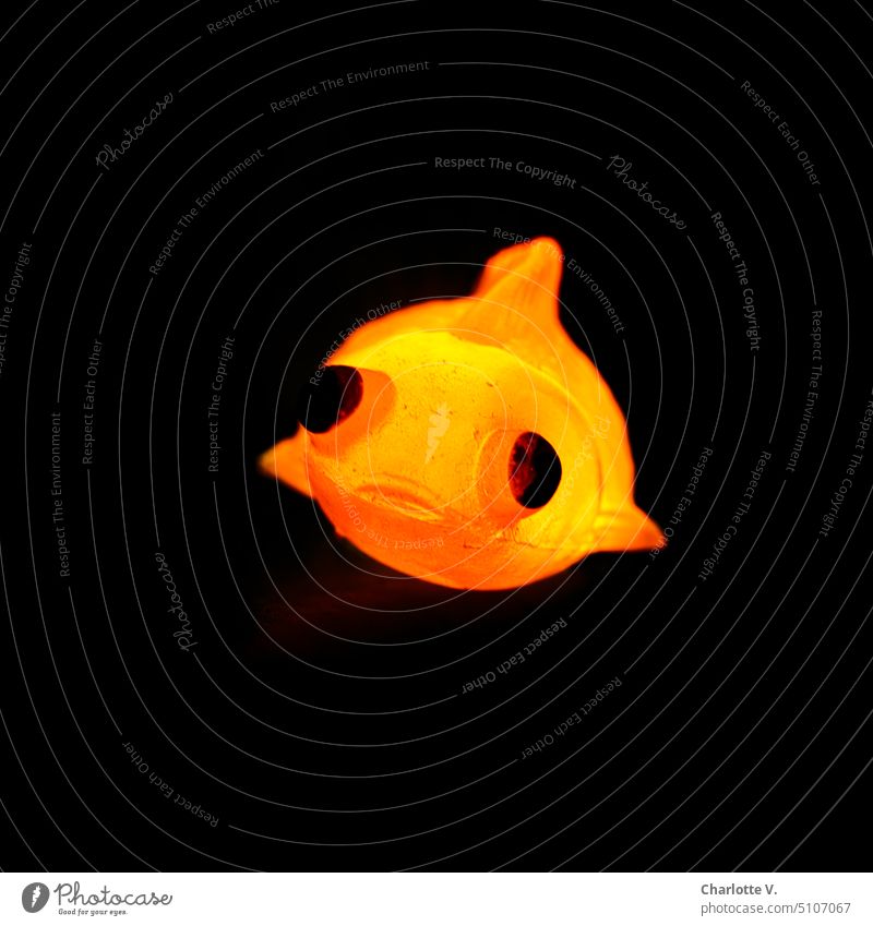 Leuchtfisch oder auch Lampionfisch Fisch Spielzeugfisch Tier Farbfoto leuchten leuchtend leuchtende Farben orange Schweben schwebend unecht künstlich wegweisend
