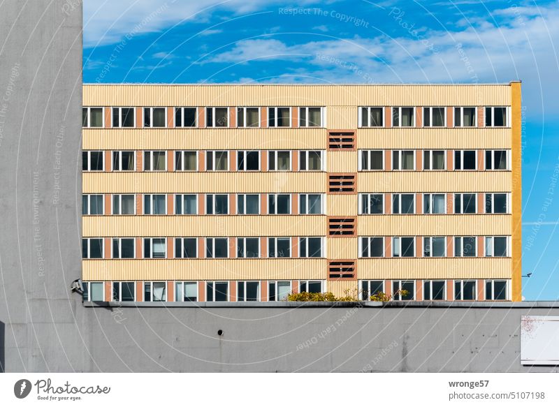 Ein Plattenbau mitten in der City Stadt Stadtmitte DDR-Architektur Gebäude Haus Magdeburg Fassade Fenster Häusliches Leben Außenaufnahme Menschenleer Himmel
