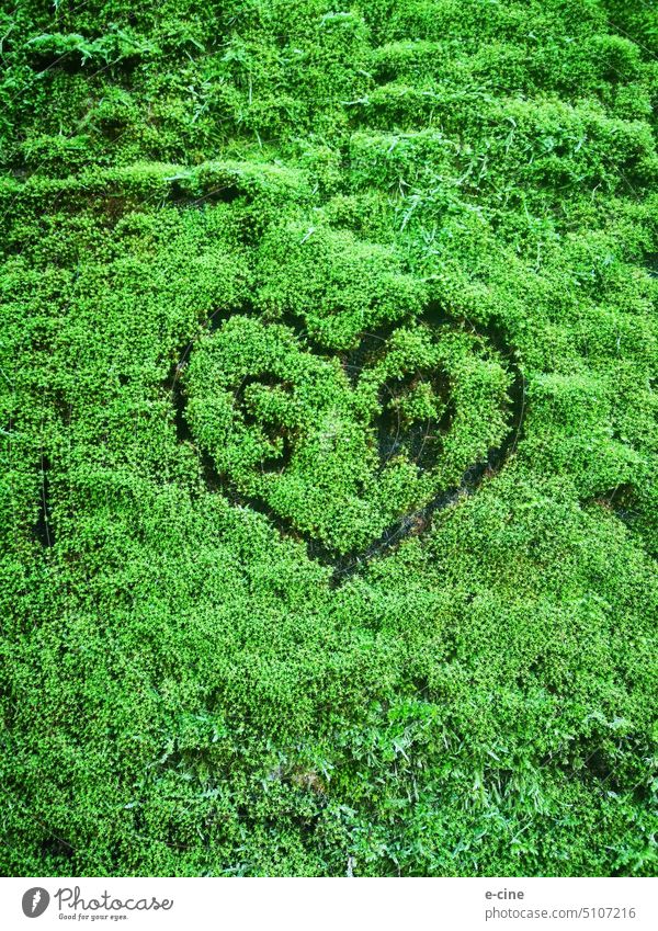 S und R ein Herz in grünem Moos Natur Pflanze Farbfoto Außenaufnahme Menschenleer Detailaufnahme herzförmig Liebe Romantik Verliebtheit Gefühle Valentinstag