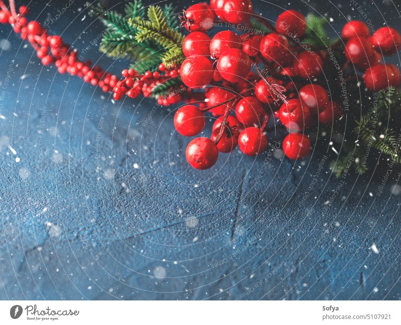 Weihnachten roter Zweig Schneefall Grußkarte Neujahr Hintergrund Postkarte Textfreiraum blau dunkel Zauberei u. Magie Ast Schuppen fallen Beeren Baum