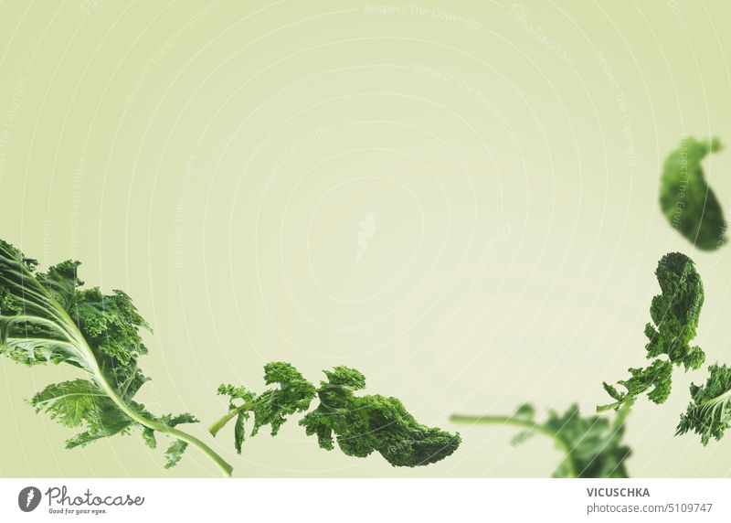 Fliegende Grünkohlblätter auf grünem Hintergrund. Umrandung Borte fliegen Kale Blätter Kohlgewächse roh Gemüse organisch Bestandteil lockig Veganer Blatt