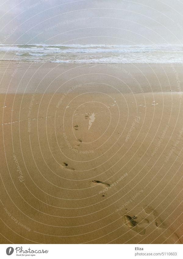 Fußspuren im Sand, führen am Strand Richtung Meer Sandstrand Wellen Urlaub Erholung Spuren Außenaufnahme Küste Wasser Sommerurlaub trüb Barfuß Spaziergang