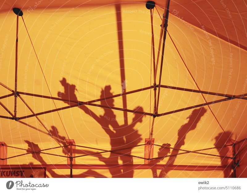 Zeltwand Zeltplane Kunststoff Verkaufsstand Flohmarkt Flohmarktstand Baumschatten Äste Silhouette orange leuchtende Farben Menschenleer Detailaufnahme