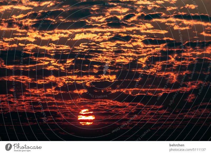 sonnenwolken Ferne Afrika romantisch kitschig Namibia Sonnenuntergang Sonnenlicht Licht Nacht Dämmerung Abend Farbfoto Außenaufnahme Romantik schön Fernweh