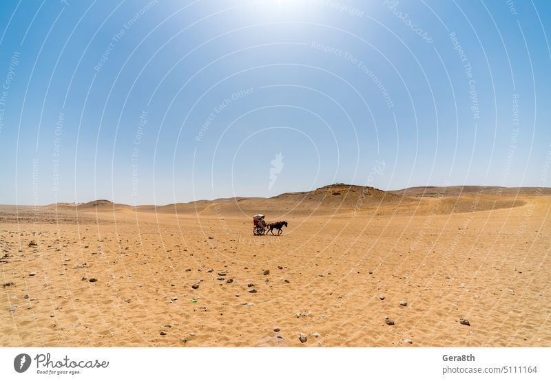 Pferdewagen in der ägyptischen Wüste Afrika Abenteuer blau Karre Klima Tag wüst Laufwerk trocknen Düne Dunes Ägypten extrem Horizont heiß Land Landschaft Licht