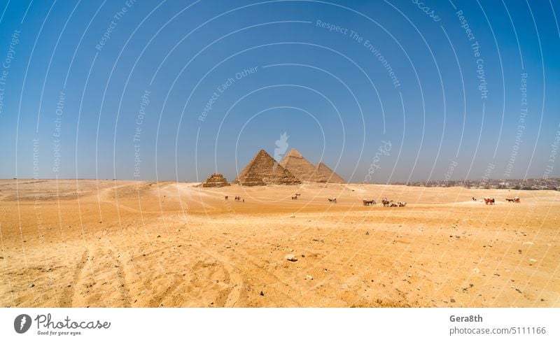 antike pyramide in der wüste in ägypten Afrika cheops Ägypter Luxor Antiquität Archäologie Architektur blau Kairo Ägypten Ausflug berühmt Gizeh Prima historisch