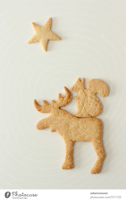 Weihnachtskekse :) Süßwaren Plätzchen Feste & Feiern Winter Elch Eichhörnchen 2 Tier Essen genießen Blick lecker niedlich süß gold weiß Laster Vorfreude