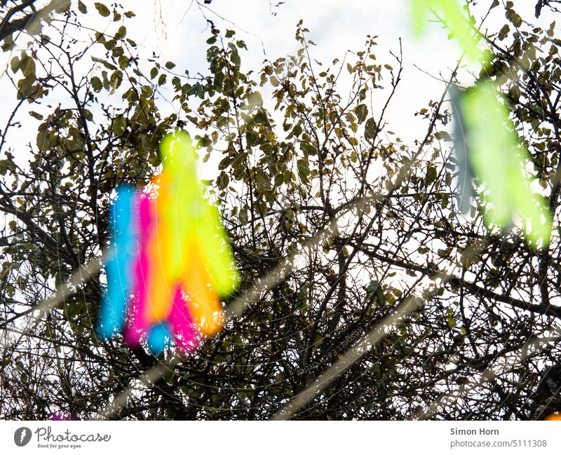 Farbflecken vor kahlen Ästen bunt farbenfroh Äste und Zweige Kontrast Umwelt Natur unscharf Unschärfe Wäscheklammern Klammer befestigen Himmel Farbe Tag