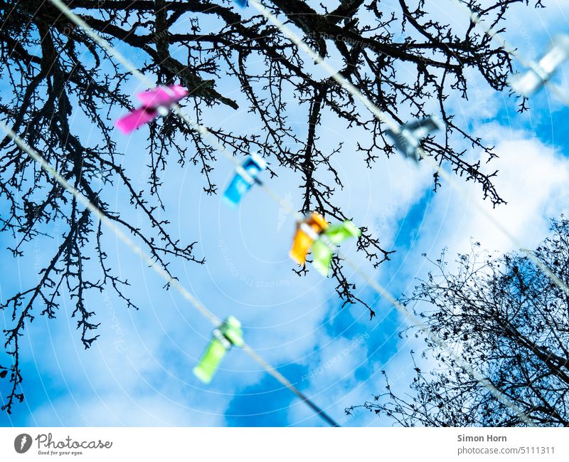 Farbflecken vor blauem Himmel bunt farbenfroh Äste und Zweige kahl Kontrast Umwelt Natur unscharf Unschärfe Wäscheklammern Klammer befestigen Farbe Tag