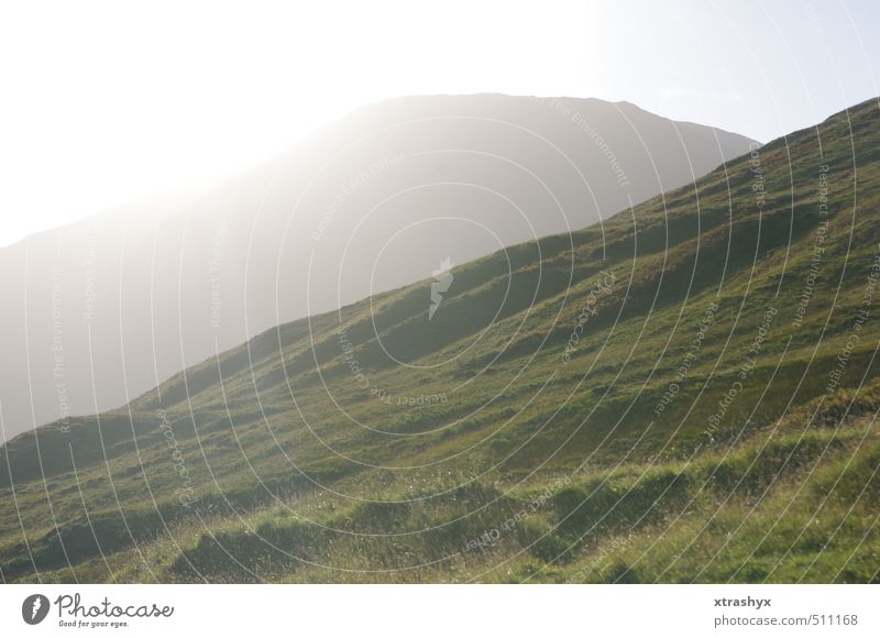 Schottlands schönste Seite (Glencoe Tal) Umwelt Natur Landschaft Pflanze Tier Urelemente Himmel Sonne Sonnenlicht Herbst Schönes Wetter Gras Moos Wiese Hügel