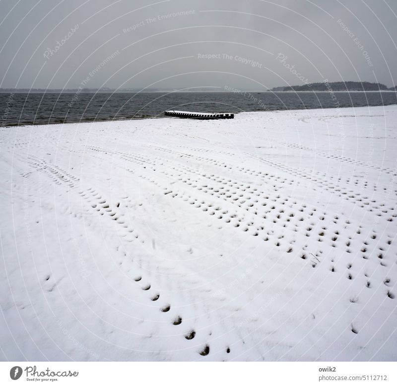 Winterspuren Seeufer Natur Umwelt Schnee Frost schwarz weiß ruhig Wasseroberfläche Außenaufnahme Planken Eis kalt Schönes Wetter Anlegestelle Menschenleer Ferne