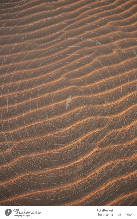 #A0# Sandstrukturen Sandstrand sandig Sandbank Sandverwehung Wüste heiß Hitze Außenaufnahme Natur Strand Landschaft Ferien & Urlaub & Reisen Düne Farbfoto