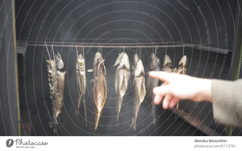 Räucher Ofen räucherofen Fisch Lebensmittel Ernährung geräuchert Räucherfisch hängen Räucherofen Rauch Duft Fischereiwirtschaft frisch Totes Tier