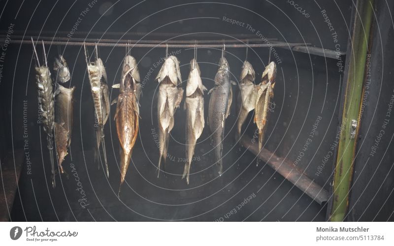 Fisch räuchern Ernährung Gesunde Ernährung Foodfotografie Essen zubereiten Design #Fisch räuchern räucherofen fischen Angeln Angler hobby kochen kochen & garen