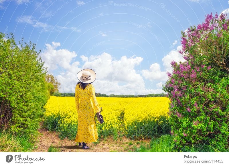 Mädchen blickt über ein Rapsfeld sonnig Saison vor Blick Rücken Mode Landschaft Blüte Erwachsener Wiese grün im Freien Schönheit Kleid natürlich Person