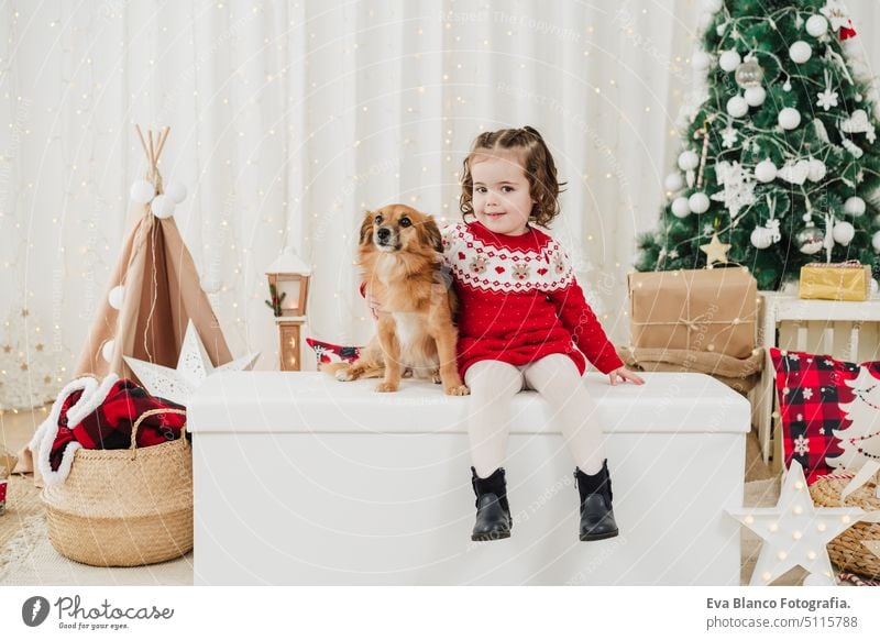 Lächelndes Kind Mädchen zu Hause stehend mit Hund während der Weihnachtszeit Weihnachten heimwärts präsentieren Dekoration & Verzierung im Innenbereich Dezember