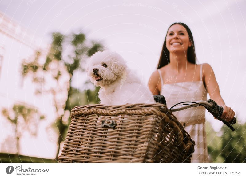 Junge Frau mit weißem Bichon frise Hund in den Korb des elektrischen Fahrrads aktiv Aktivität Erwachsener Tier schön Kaukasier Fahrradfahren Tag Elektrofahrrad