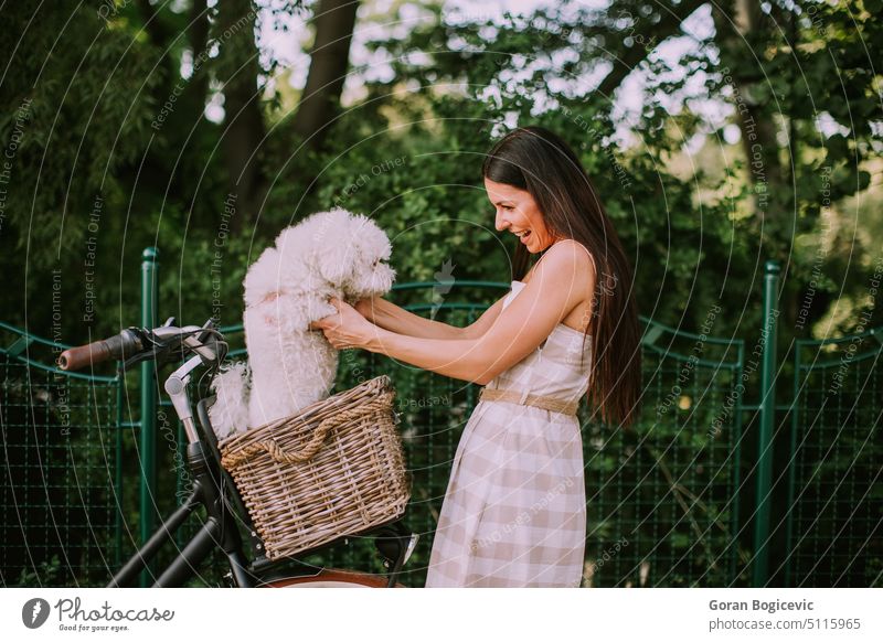 Junge Frau, die einen weißen Bichon frise Hund in den Korb eines Elektrofahrrads legt aktiv Aktivität Erwachsener Tier schön Fahrrad Kaukasier Fahrradfahren Tag