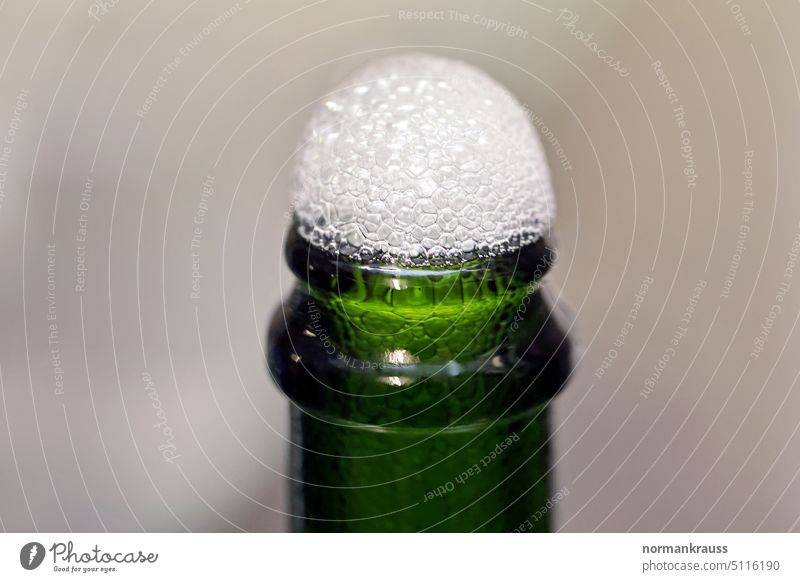 Sekt abfüllen sekt flasche flaschenhals schaum bläschen kohlensäure luft schaumwein alkohol sektherstellung grün